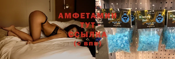 гашик Арсеньев
