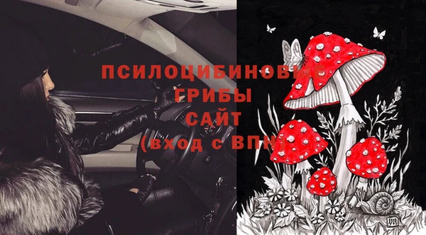 гашик Арсеньев