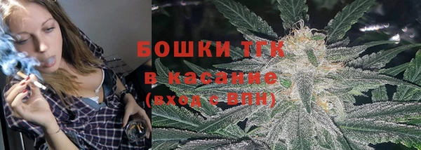 гашик Арсеньев