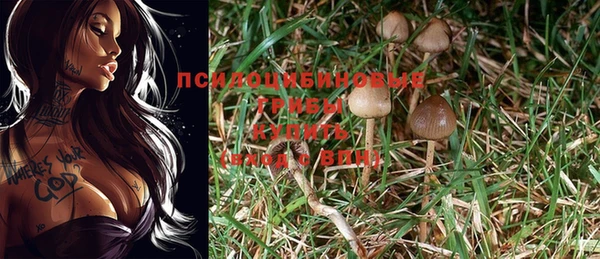 прущие крисы Аркадак